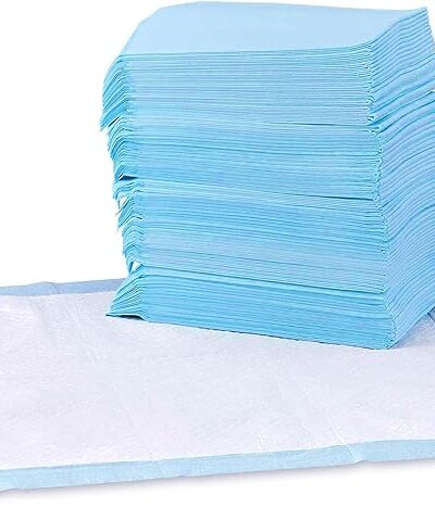 Dog and Puppy Pee Pads with Leak-Proof Quick-Dry Design for Potty Training, Standard Absorbency, Regular Size, 22 x 22 Inches, Pack of 100, Blue & White