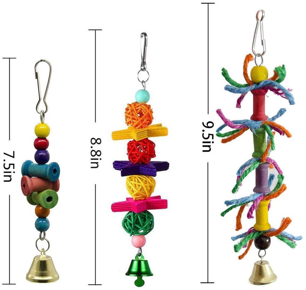 Parrot nibbles a toy - Image 3