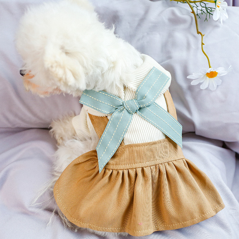 Dog Clothes
