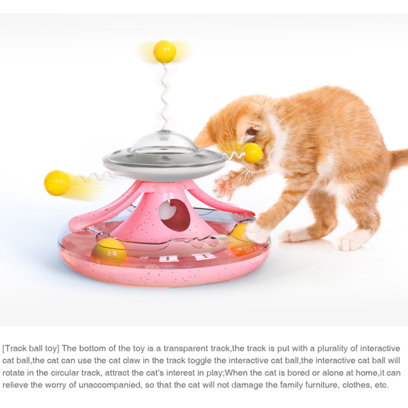 Cat Tumbler Track Cat Turntable - Image 6
