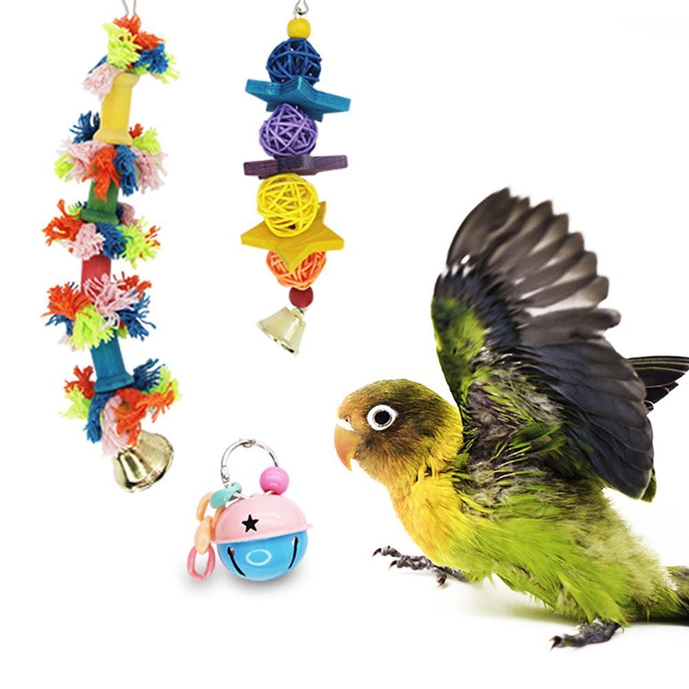 Parrot nibbles a toy - Image 5