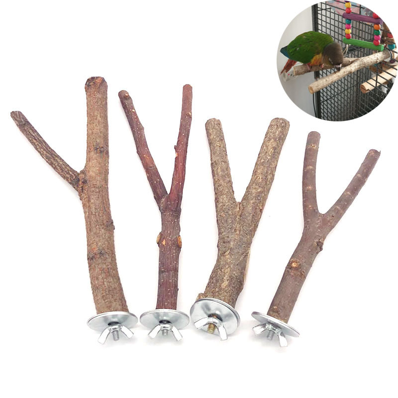 Parrot Log Tree Branch Standing Pole - Image 2
