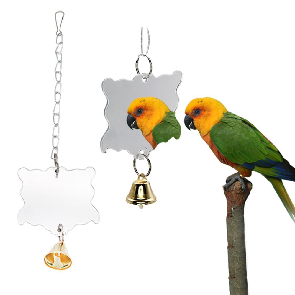 Parrot nibbles a toy - Image 4