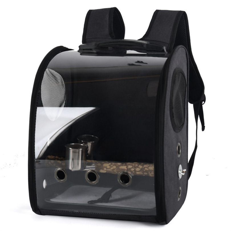 Outdoor Portable Bag Panoramic Transparent Parrot Outgoing Bag - Image 2