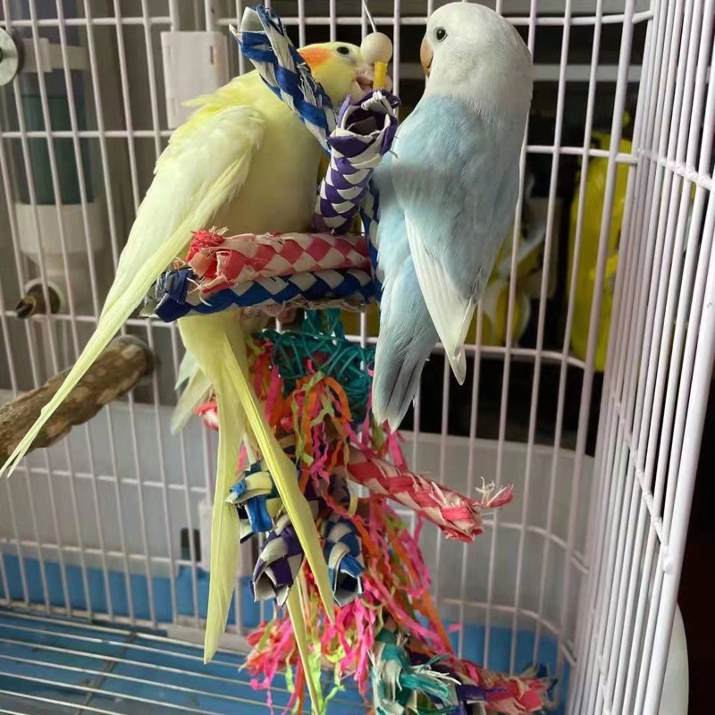 Parrot Toy Woodskin Hand-woven Boredom Cage Supplies - Image 6