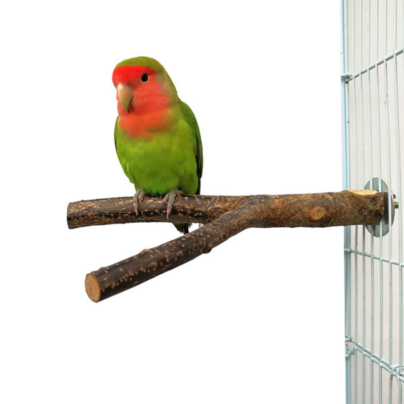 Parrot Log Tree Branch Standing Pole