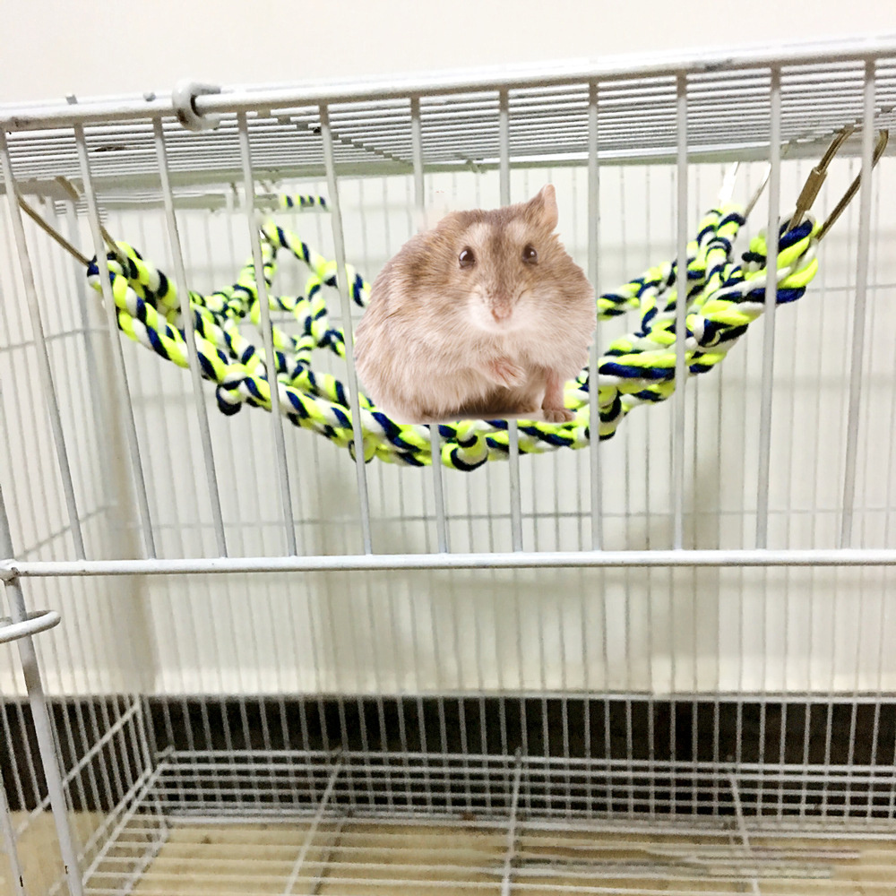 Parrot climbing net - Image 4