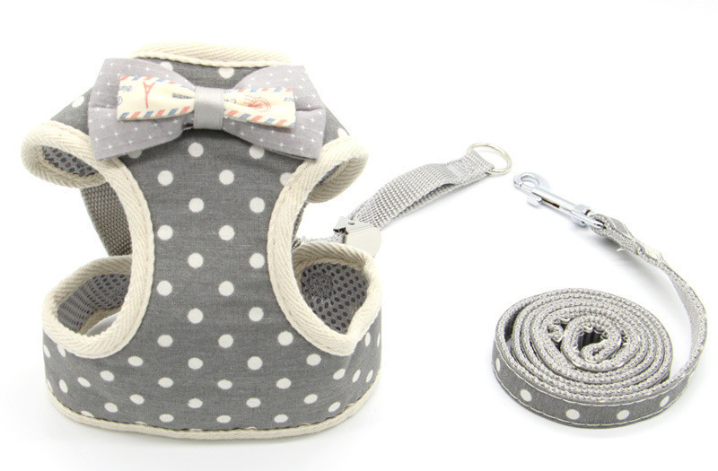 Cat Traction Rope, Cat Walking, Cat Chain, Rope - Image 9