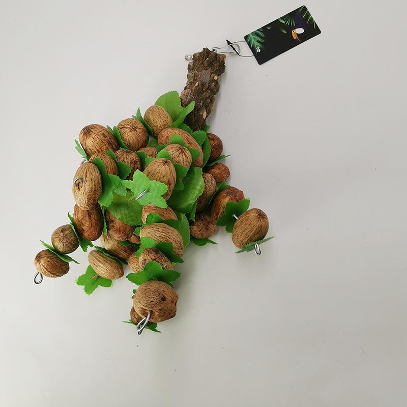 Pet Supplies Toy Parrot Nut Bite String Bite Toy - Image 2