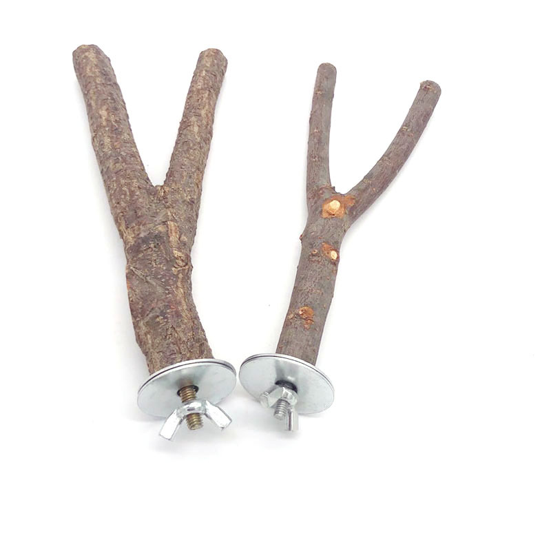 Parrot Log Tree Branch Standing Pole - Image 4