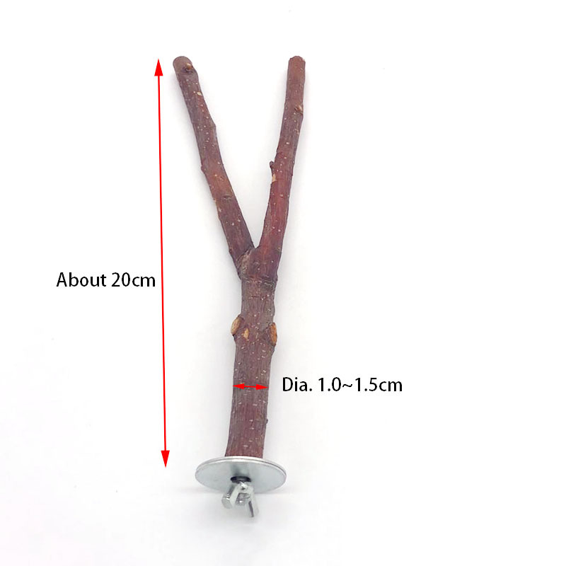 Parrot Log Tree Branch Standing Pole - Image 6