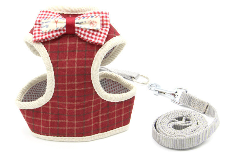 Cat Traction Rope, Cat Walking, Cat Chain, Rope - Image 6