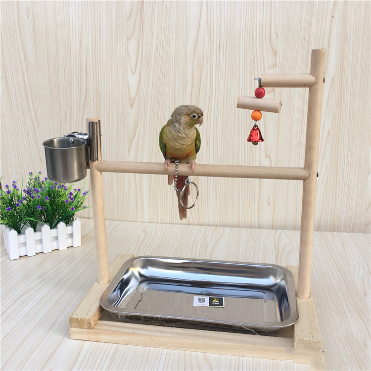 Household Small Portable Training Parrot Stand - Image 5