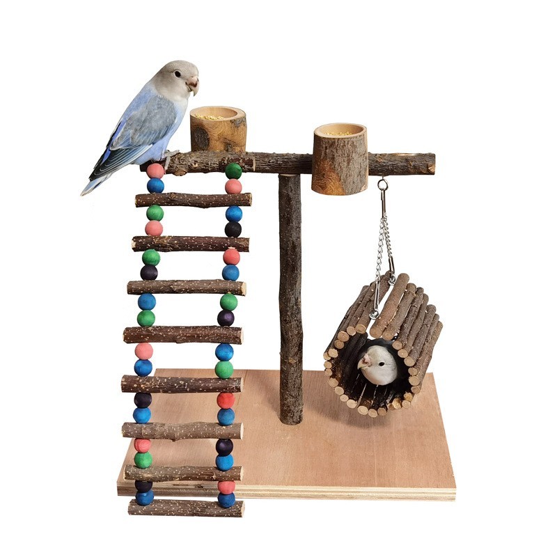 Solid Wood Parrot Station Frame Training Bird Shelf Parrot Toys - Image 6
