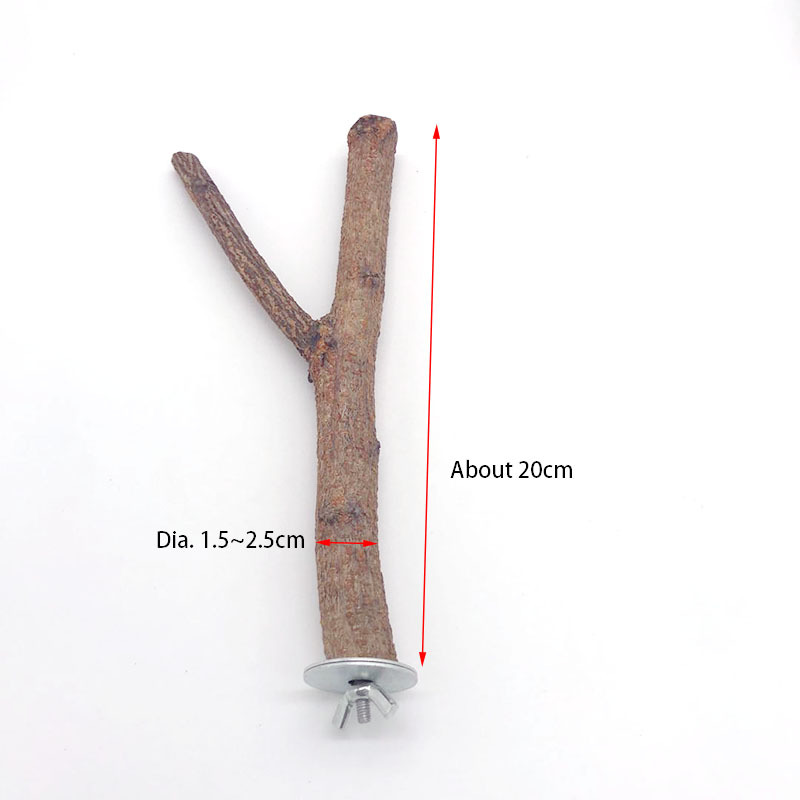 Parrot Log Tree Branch Standing Pole - Image 8